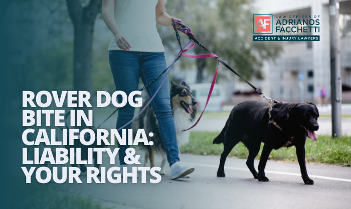 A dog on a leash pulling a dog walker at a California city crosswalk while a pedestrian steps aside.