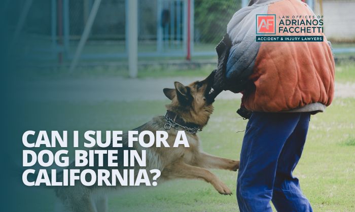 A German Shepherd biting a person's arm during an incident, representing a dog bite case scenario in California.