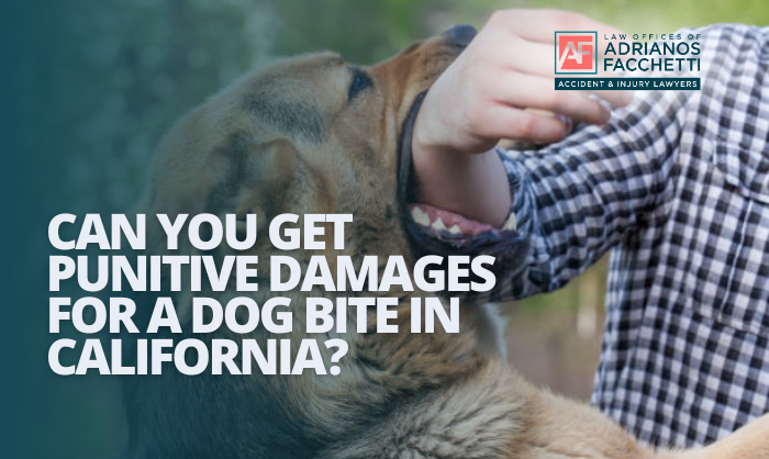 Dog biting a person’s arm with text “Can you get punitive damages for a dog bite in California?” for Burbank dog bite lawyer Adrianos Facchetti.