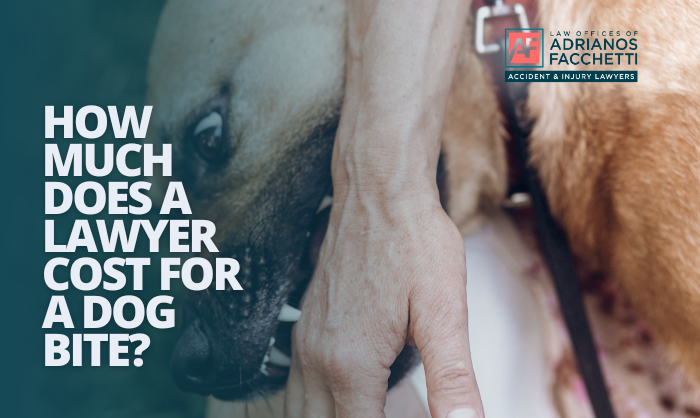 Leashed dog biting a person’s hand during an aggressive encounter, illustrating the severity of a potential dog bite injury.