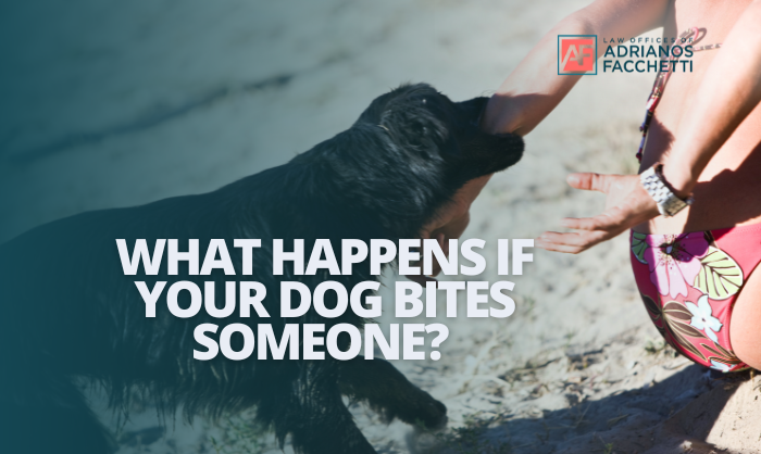 what happens if your dog bites someone