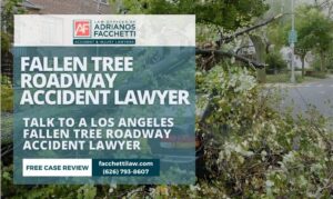 Los Angeles fallen tree roadway accident lawyer