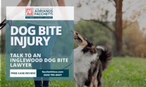 Inglewood dog bite lawyer