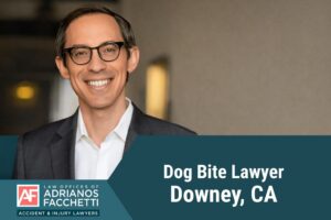 Downey dog bite lawyer