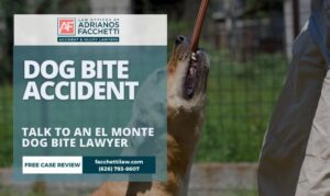 El Monte dog bite lawyer