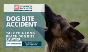 Adrianos Facchetti, Long Beach dog bite lawyer, reviewing a dog attack injury claim near El Dorado Park and Belmont Shore in Los Angeles County, California.