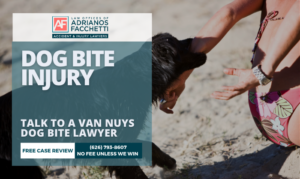 Abogado especializado en mordeduras de perro en Van Nuys Mujer mordida por un perro (con texto superpuesto) para una revisión gratuita del caso por parte de un abogado especializado en mordeduras de perro en Van Nuys.